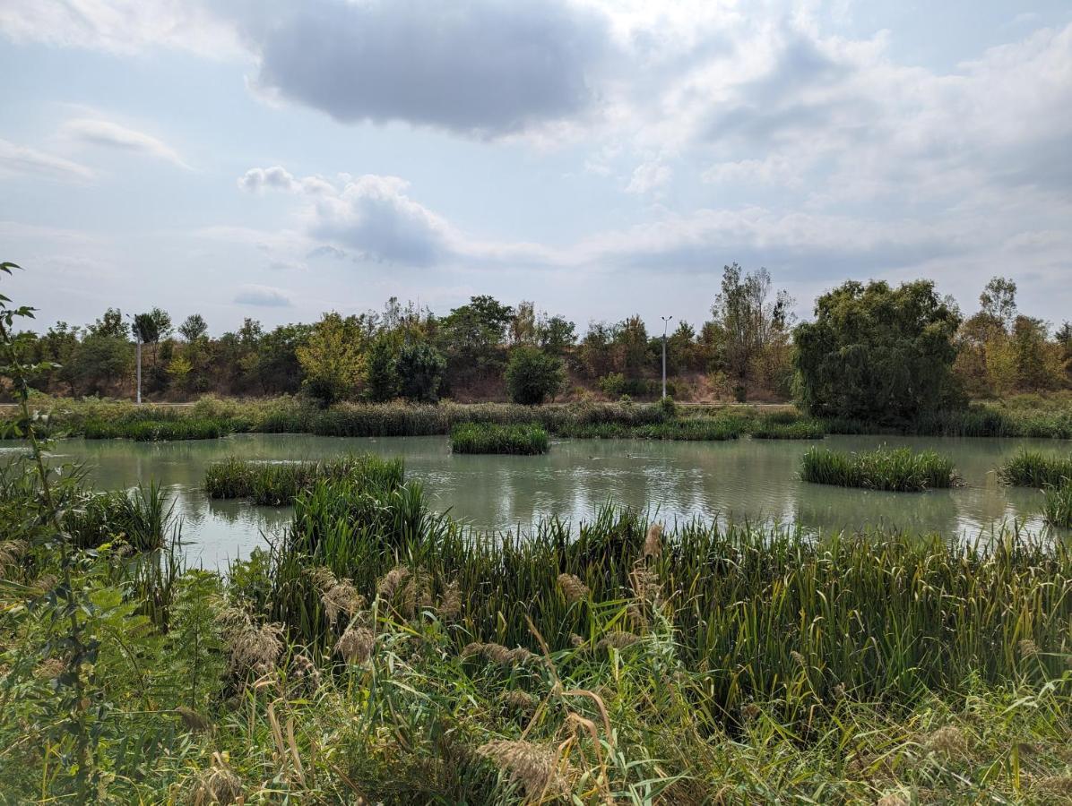 Horizon View Villa - Lakefront Terrace Suite بوخارست المظهر الخارجي الصورة